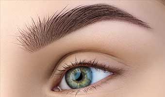 Powder-Eyebrows-service